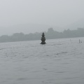IMG_5595.JPG